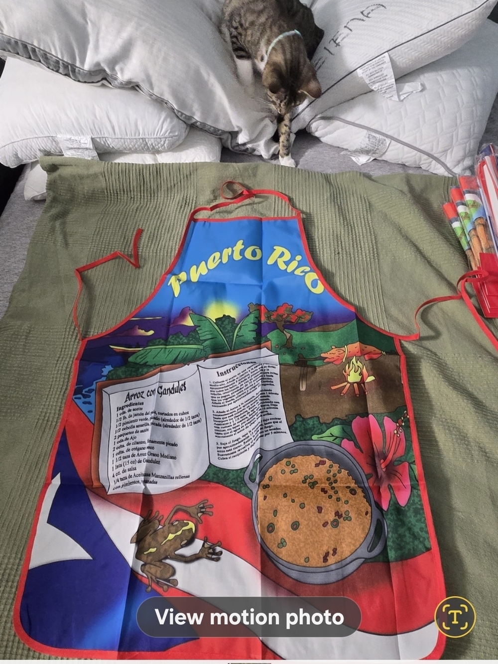 Puerto Rico Souvenir Colorful Kitchen Apron - Picture 10 of 10